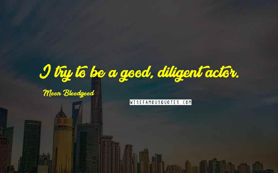 Moon Bloodgood Quotes: I try to be a good, diligent actor.