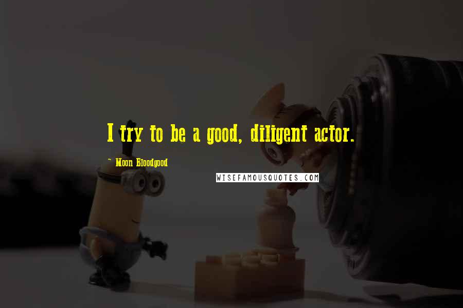 Moon Bloodgood Quotes: I try to be a good, diligent actor.