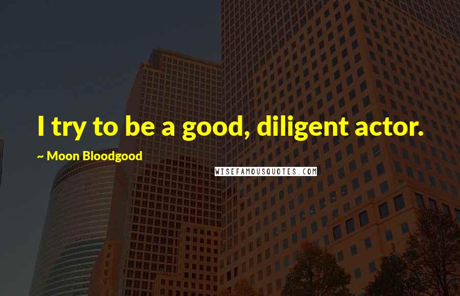 Moon Bloodgood Quotes: I try to be a good, diligent actor.