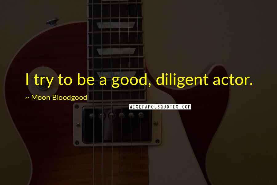 Moon Bloodgood Quotes: I try to be a good, diligent actor.