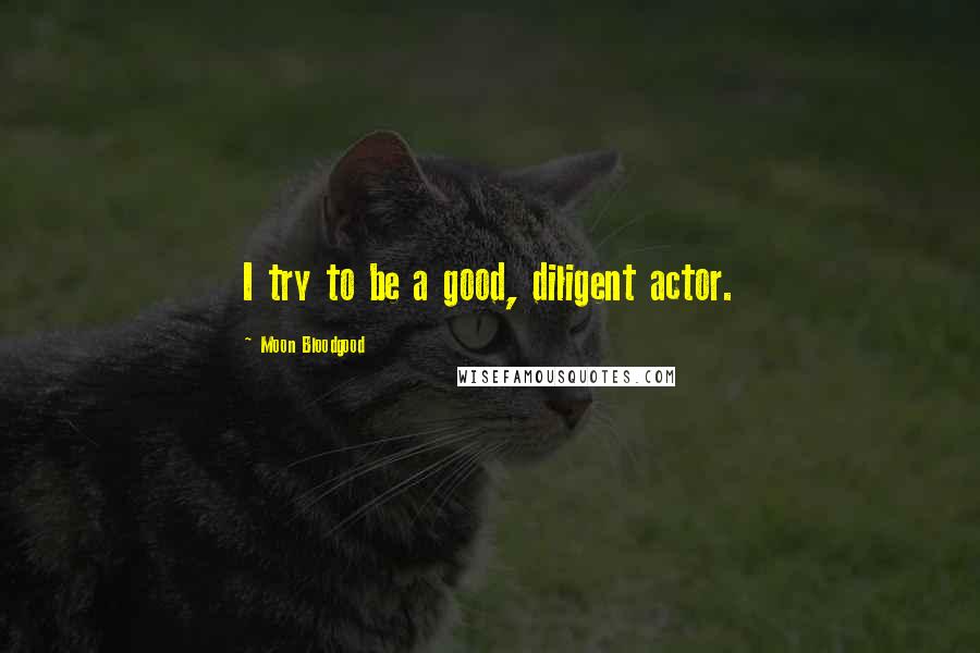 Moon Bloodgood Quotes: I try to be a good, diligent actor.