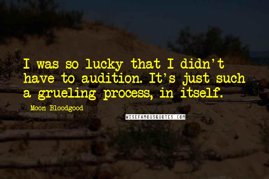 Moon Bloodgood Quotes: I was so lucky that I didn't have to audition. It's just such a grueling process, in itself.