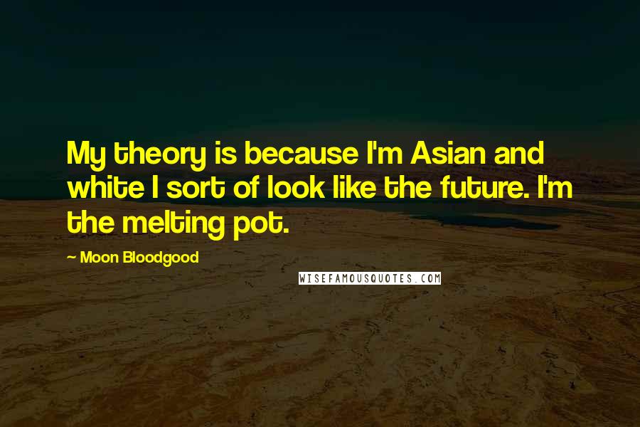 Moon Bloodgood Quotes: My theory is because I'm Asian and white I sort of look like the future. I'm the melting pot.