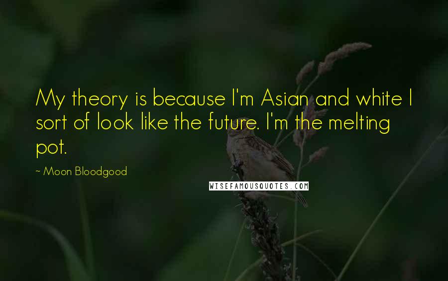 Moon Bloodgood Quotes: My theory is because I'm Asian and white I sort of look like the future. I'm the melting pot.