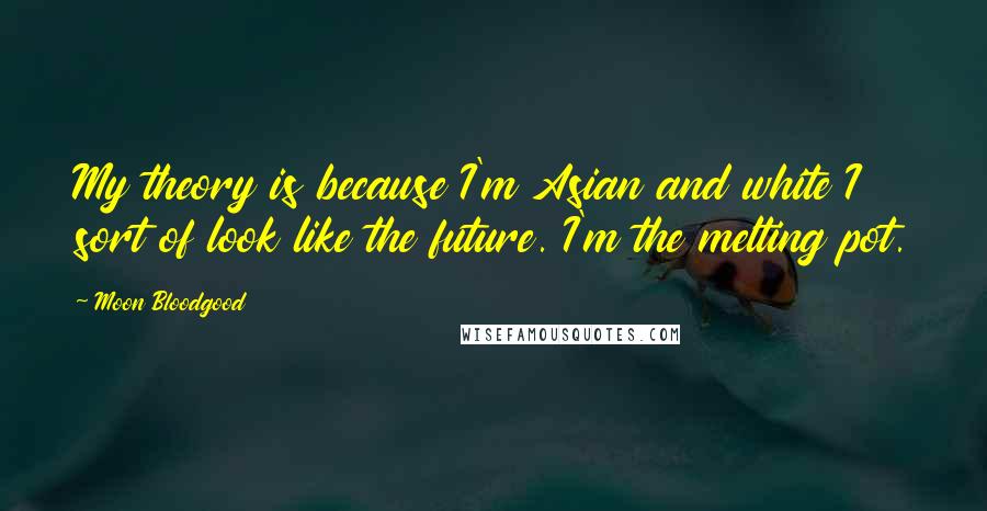 Moon Bloodgood Quotes: My theory is because I'm Asian and white I sort of look like the future. I'm the melting pot.