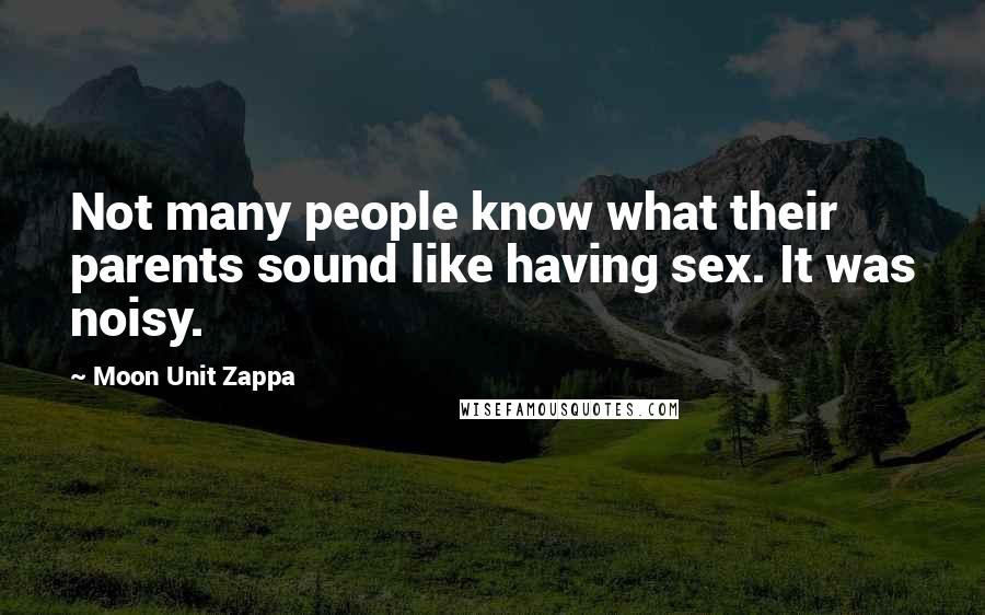 Moon Unit Zappa Quotes: Not many people know what their parents sound like having sex. It was noisy.