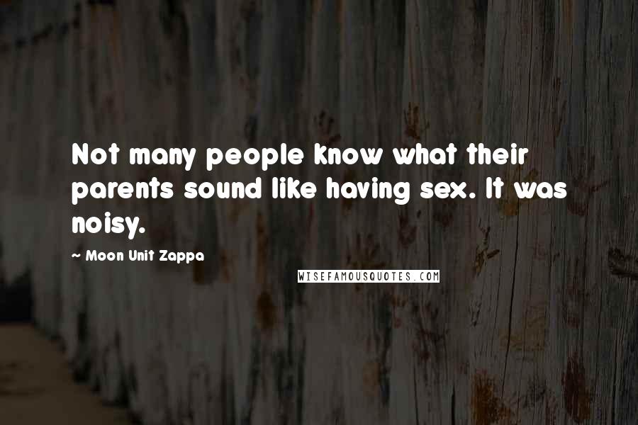 Moon Unit Zappa Quotes: Not many people know what their parents sound like having sex. It was noisy.