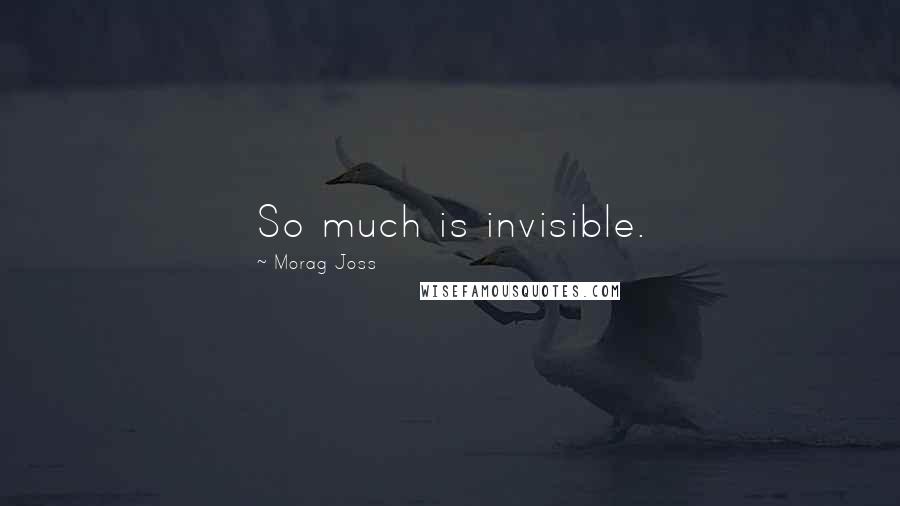 Morag Joss Quotes: So much is invisible.