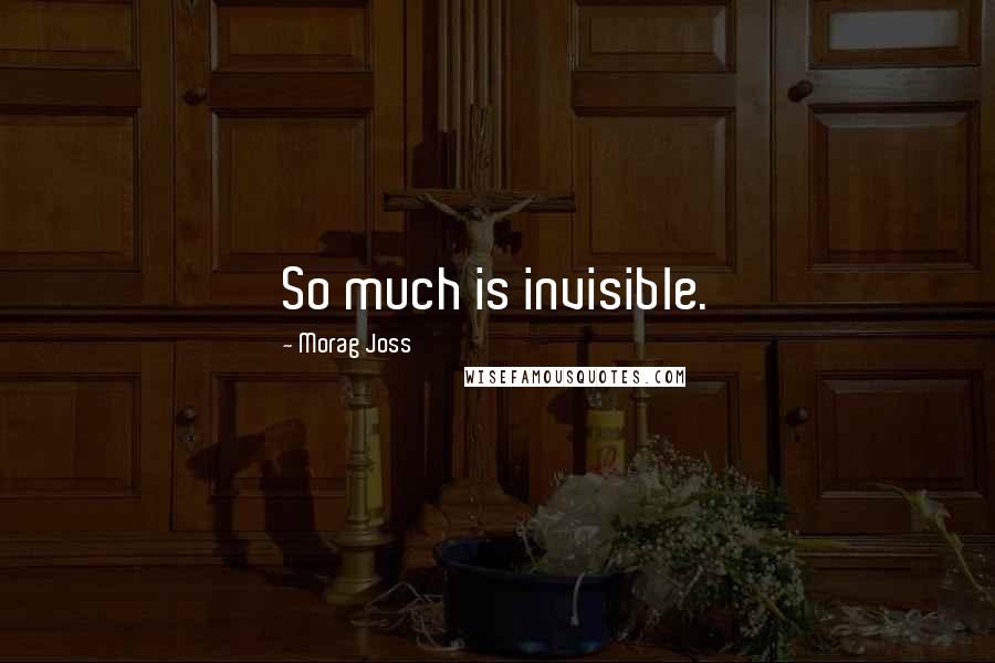 Morag Joss Quotes: So much is invisible.