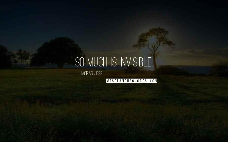 Morag Joss Quotes: So much is invisible.