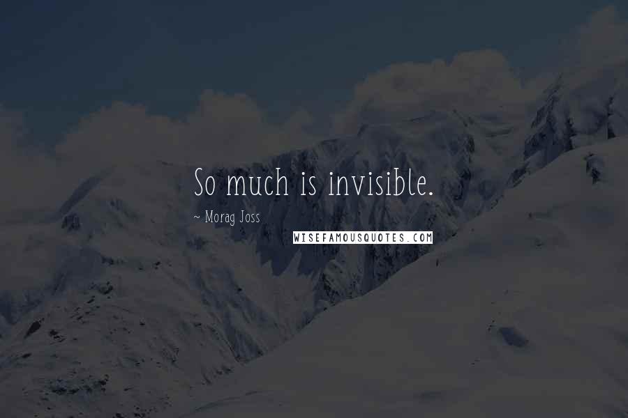 Morag Joss Quotes: So much is invisible.