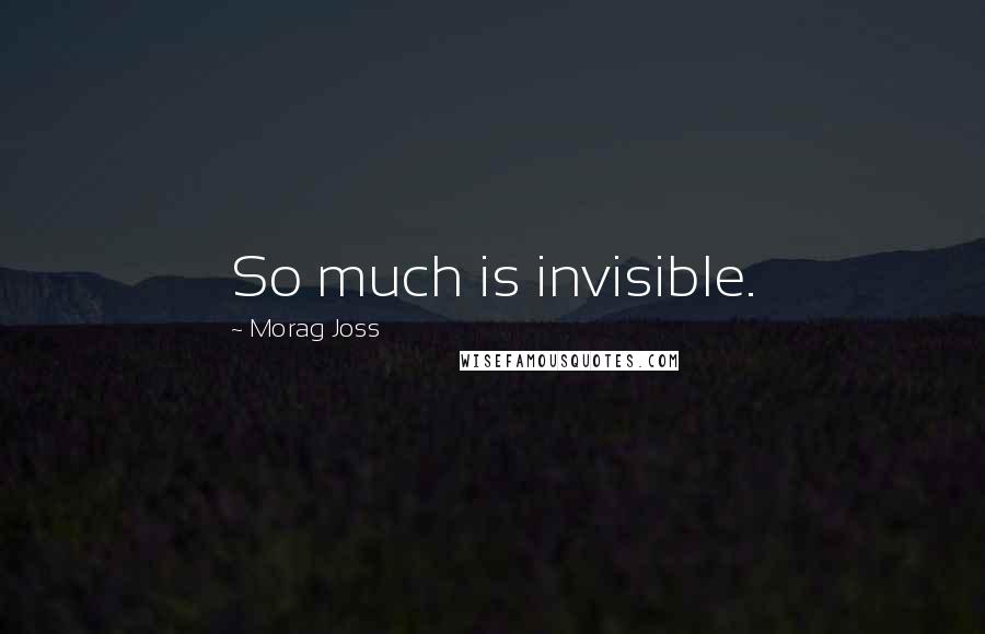 Morag Joss Quotes: So much is invisible.