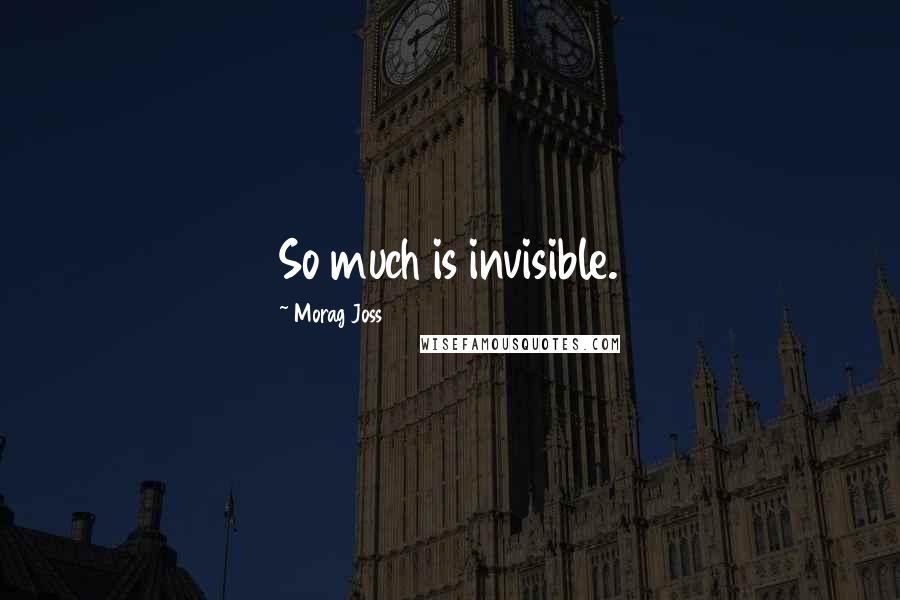 Morag Joss Quotes: So much is invisible.