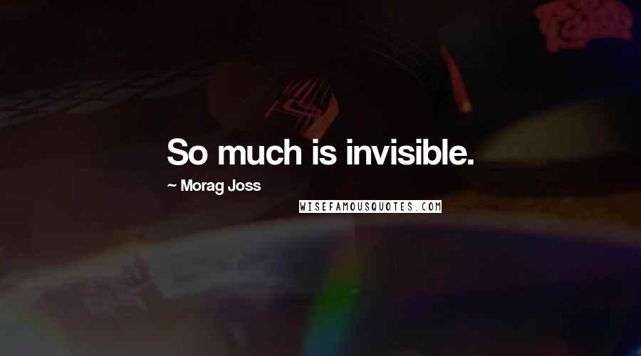 Morag Joss Quotes: So much is invisible.