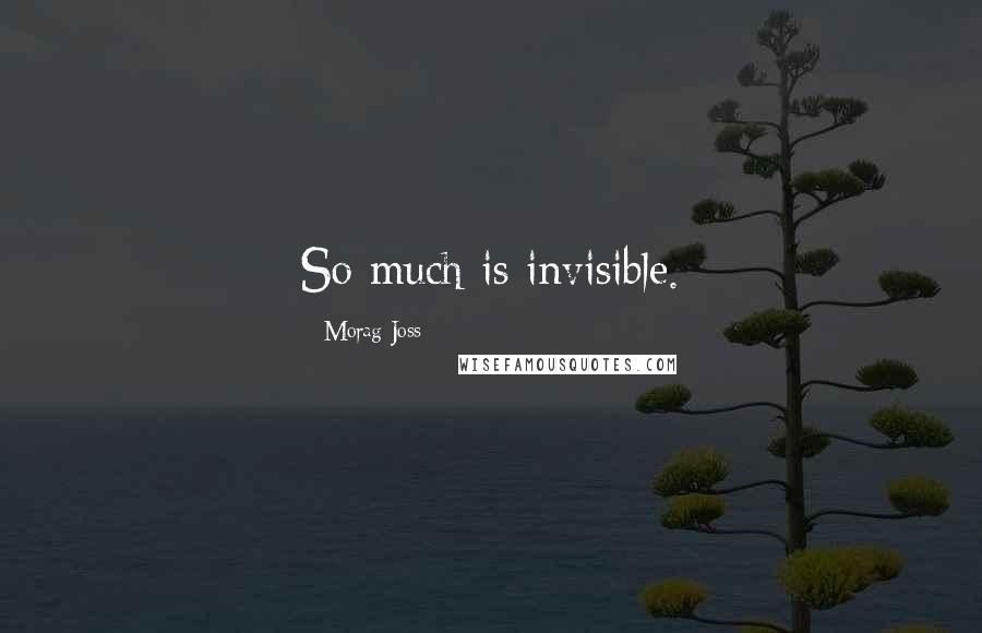 Morag Joss Quotes: So much is invisible.