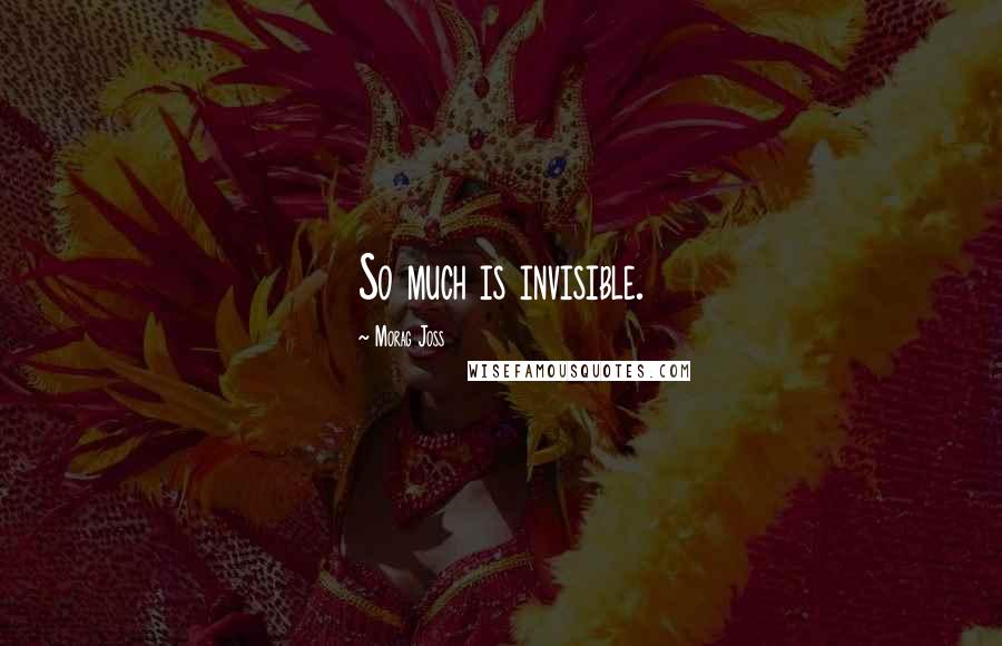 Morag Joss Quotes: So much is invisible.