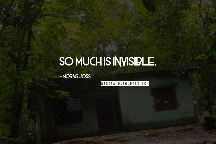 Morag Joss Quotes: So much is invisible.