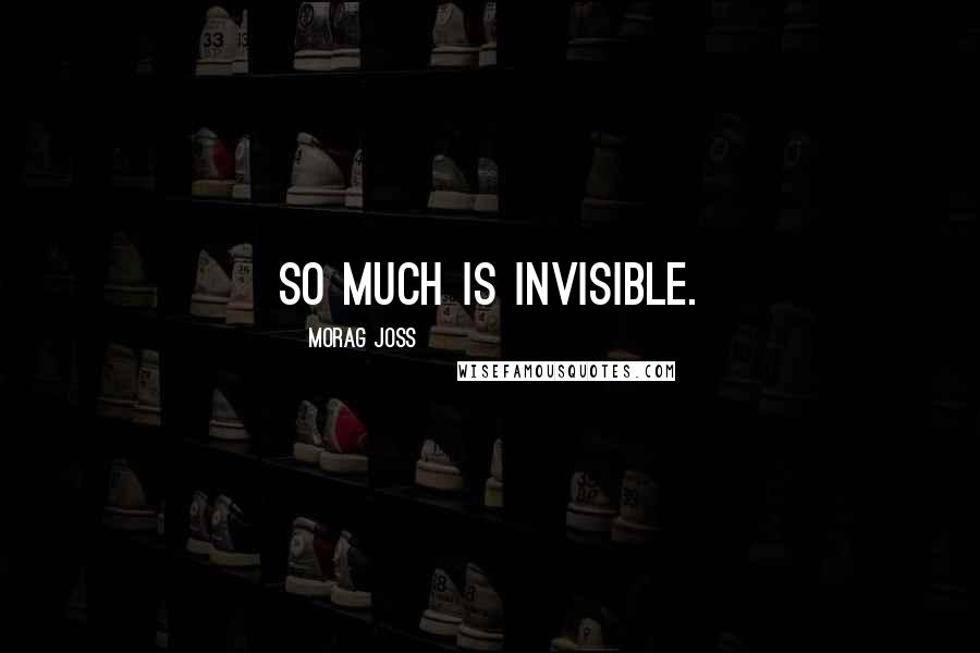 Morag Joss Quotes: So much is invisible.