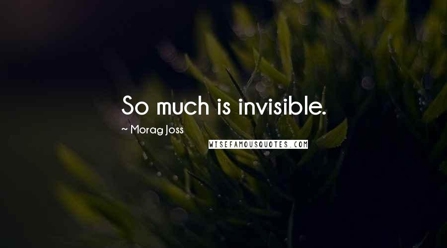 Morag Joss Quotes: So much is invisible.