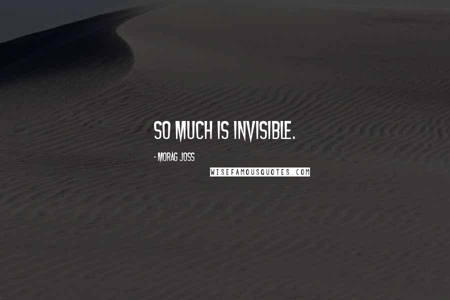 Morag Joss Quotes: So much is invisible.