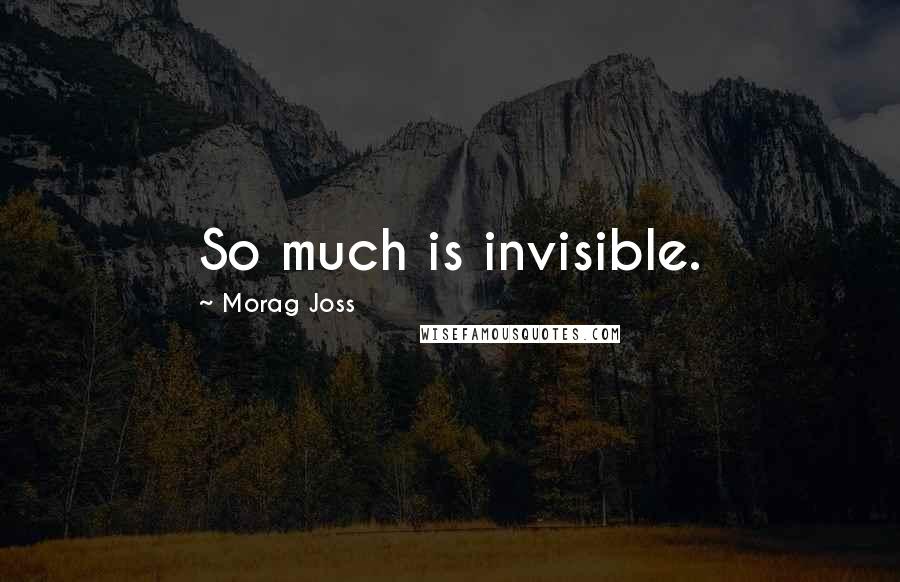 Morag Joss Quotes: So much is invisible.