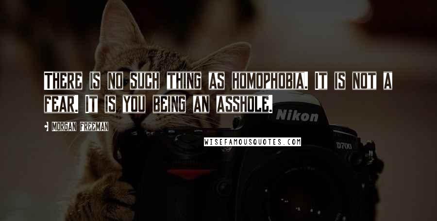 Morgan Freeman Quotes: There is no such thing as homophobia. It is not a fear. It is you being an asshole.