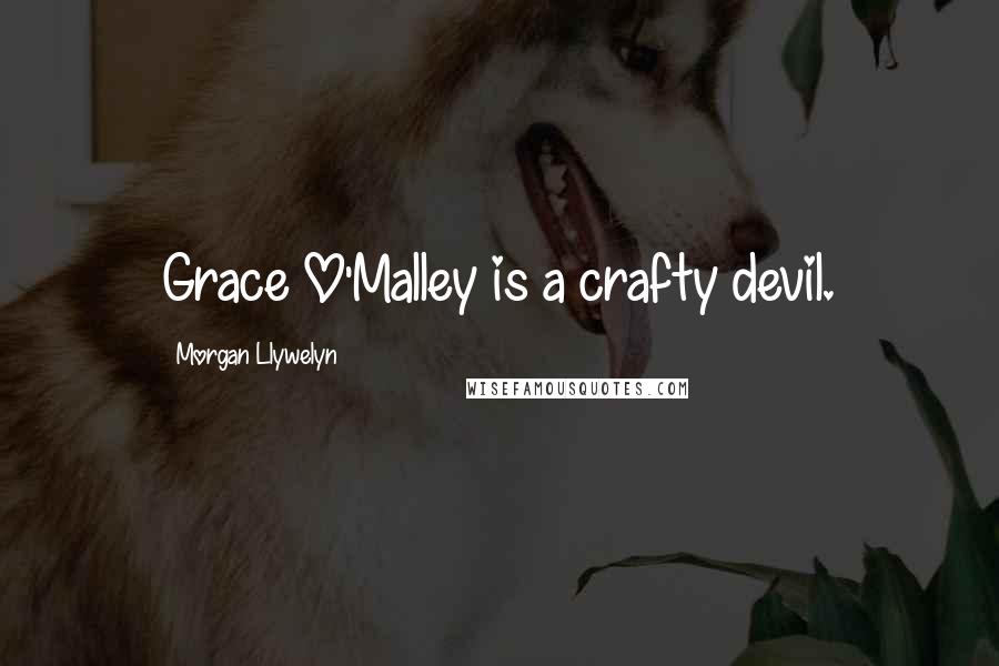 Morgan Llywelyn Quotes: Grace O'Malley is a crafty devil.