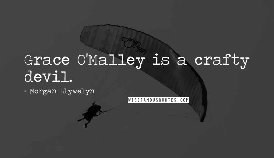 Morgan Llywelyn Quotes: Grace O'Malley is a crafty devil.