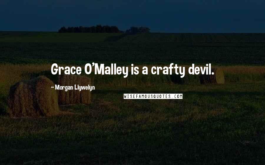 Morgan Llywelyn Quotes: Grace O'Malley is a crafty devil.