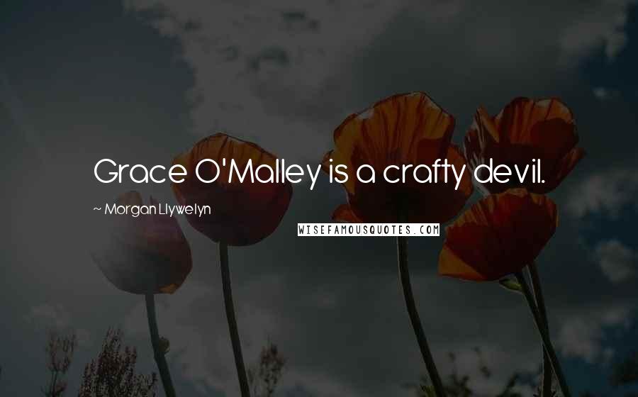 Morgan Llywelyn Quotes: Grace O'Malley is a crafty devil.