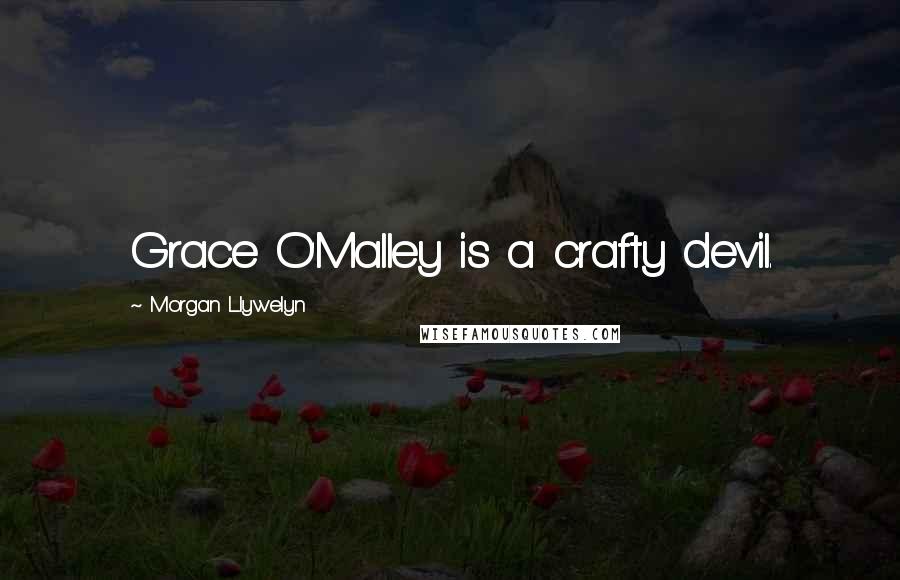 Morgan Llywelyn Quotes: Grace O'Malley is a crafty devil.