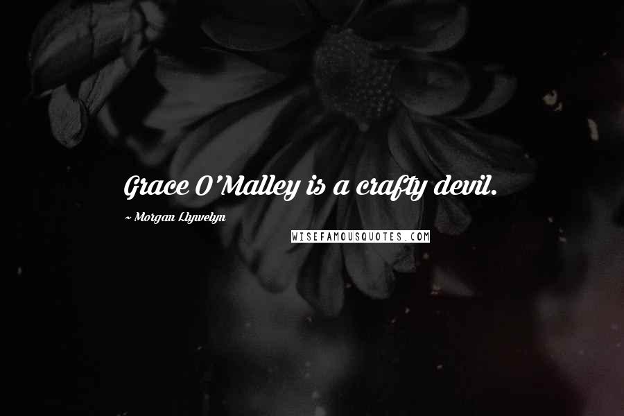 Morgan Llywelyn Quotes: Grace O'Malley is a crafty devil.