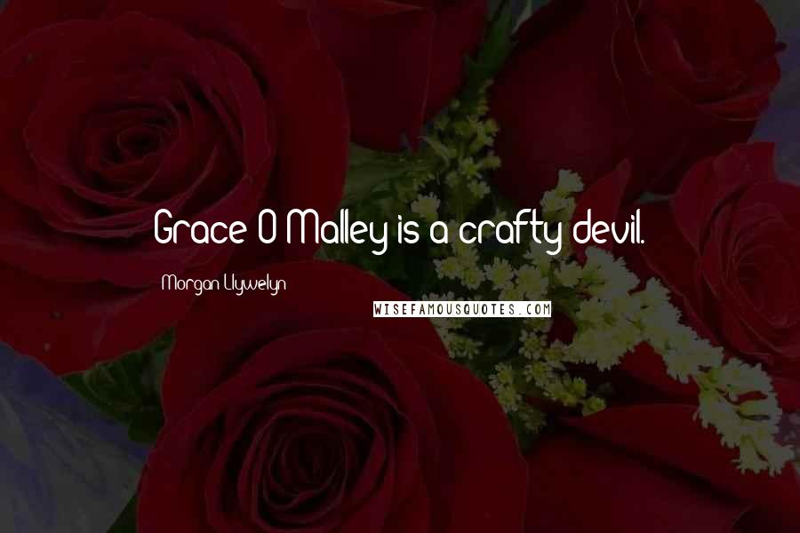 Morgan Llywelyn Quotes: Grace O'Malley is a crafty devil.