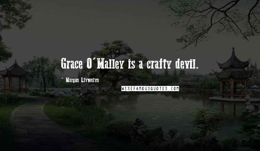 Morgan Llywelyn Quotes: Grace O'Malley is a crafty devil.