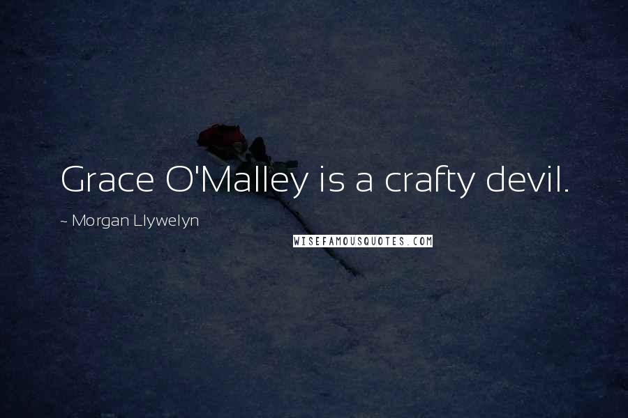 Morgan Llywelyn Quotes: Grace O'Malley is a crafty devil.