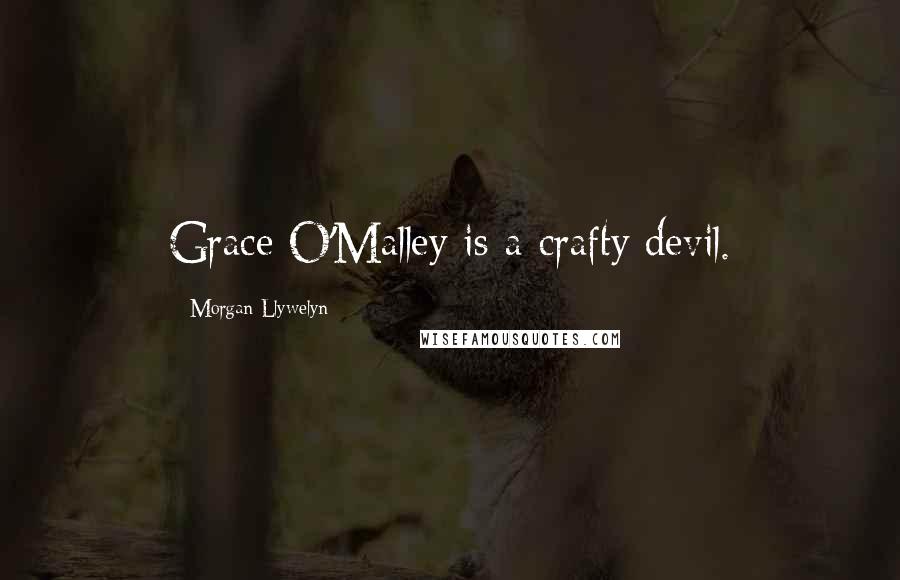 Morgan Llywelyn Quotes: Grace O'Malley is a crafty devil.