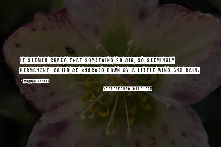 Morgan Matson Quotes: It seemed crazy that something so big, so seemingly permanent, could be knocked down by a little wind and rain.