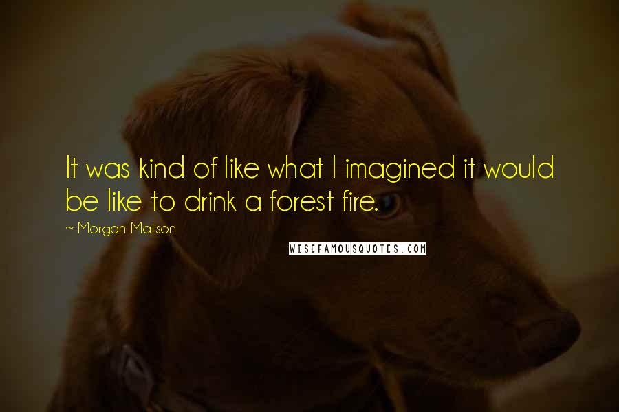 Morgan Matson Quotes: It was kind of like what I imagined it would be like to drink a forest fire.