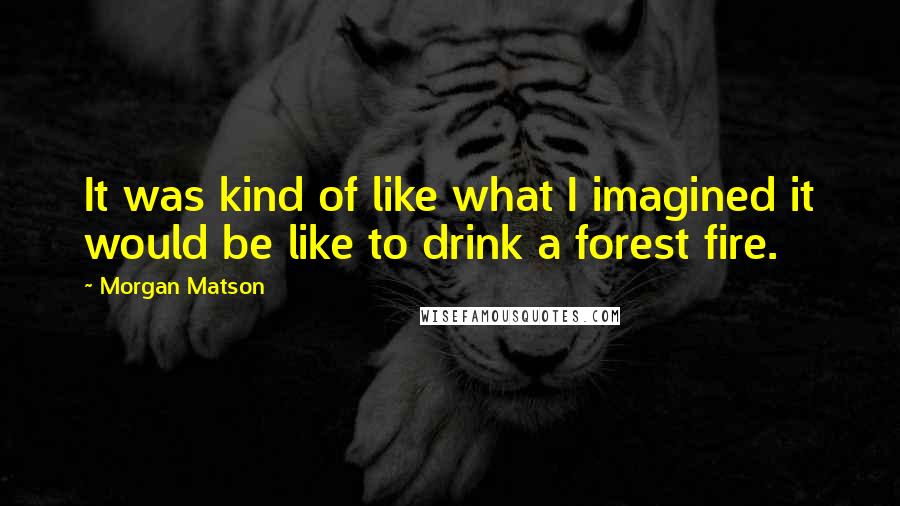 Morgan Matson Quotes: It was kind of like what I imagined it would be like to drink a forest fire.