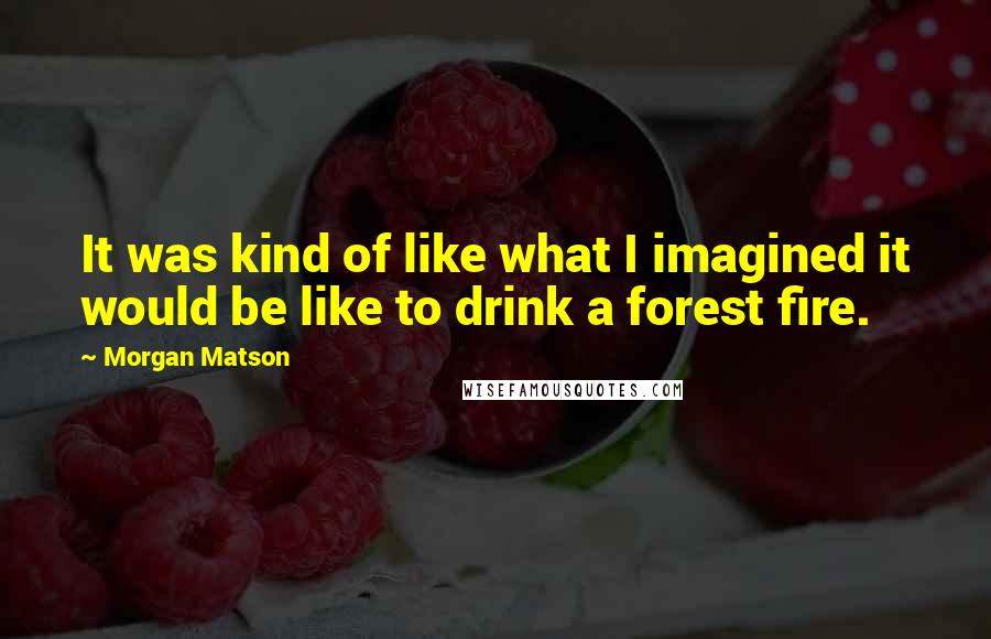 Morgan Matson Quotes: It was kind of like what I imagined it would be like to drink a forest fire.