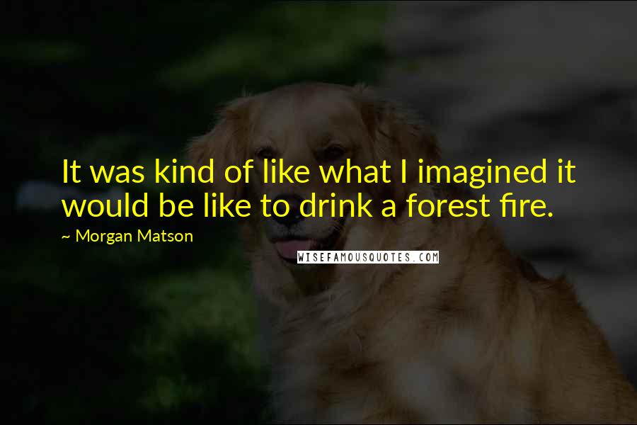 Morgan Matson Quotes: It was kind of like what I imagined it would be like to drink a forest fire.