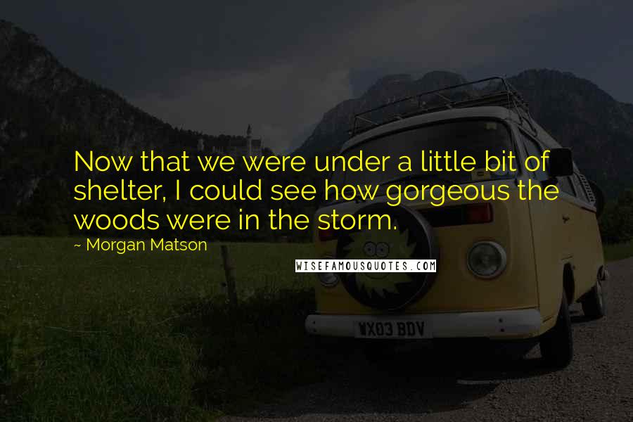 Morgan Matson Quotes: Now that we were under a little bit of shelter, I could see how gorgeous the woods were in the storm.