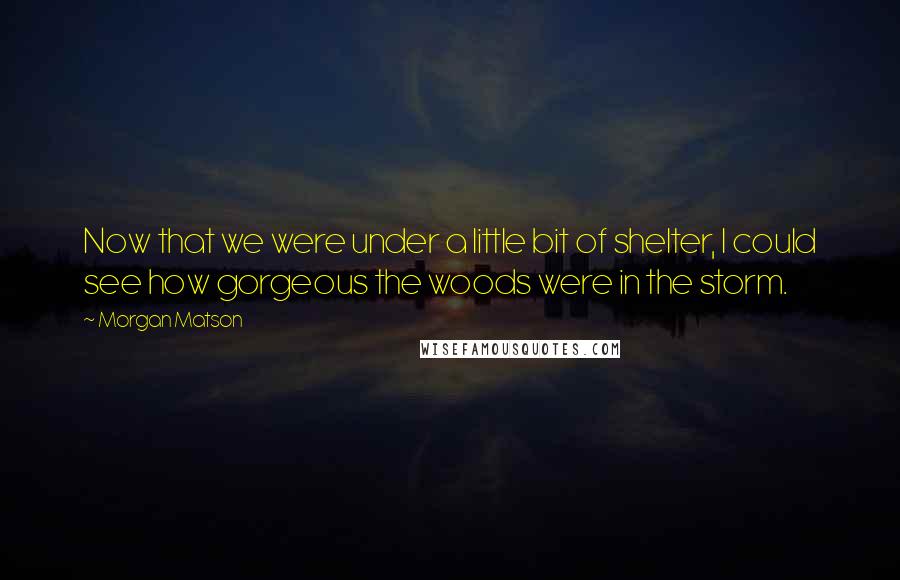 Morgan Matson Quotes: Now that we were under a little bit of shelter, I could see how gorgeous the woods were in the storm.