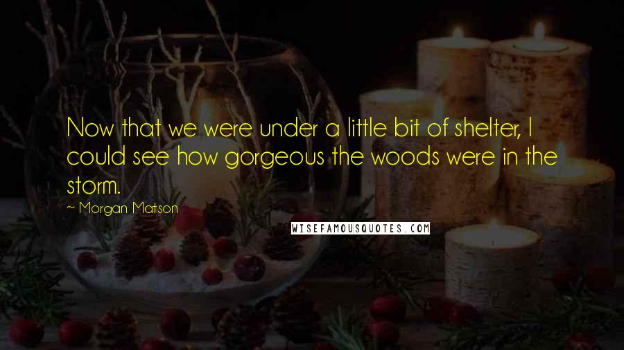 Morgan Matson Quotes: Now that we were under a little bit of shelter, I could see how gorgeous the woods were in the storm.