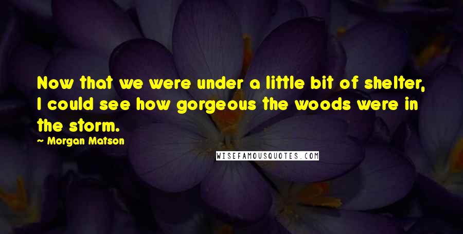 Morgan Matson Quotes: Now that we were under a little bit of shelter, I could see how gorgeous the woods were in the storm.