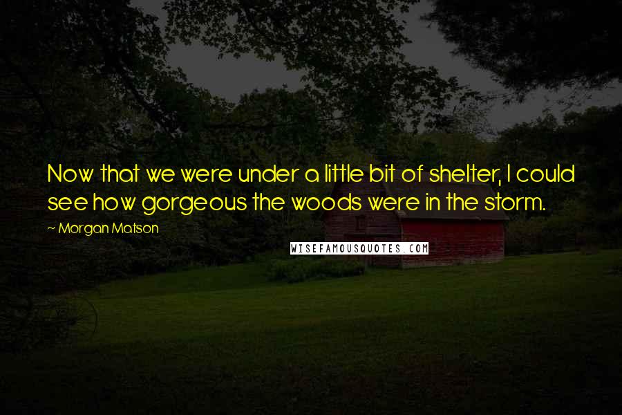 Morgan Matson Quotes: Now that we were under a little bit of shelter, I could see how gorgeous the woods were in the storm.