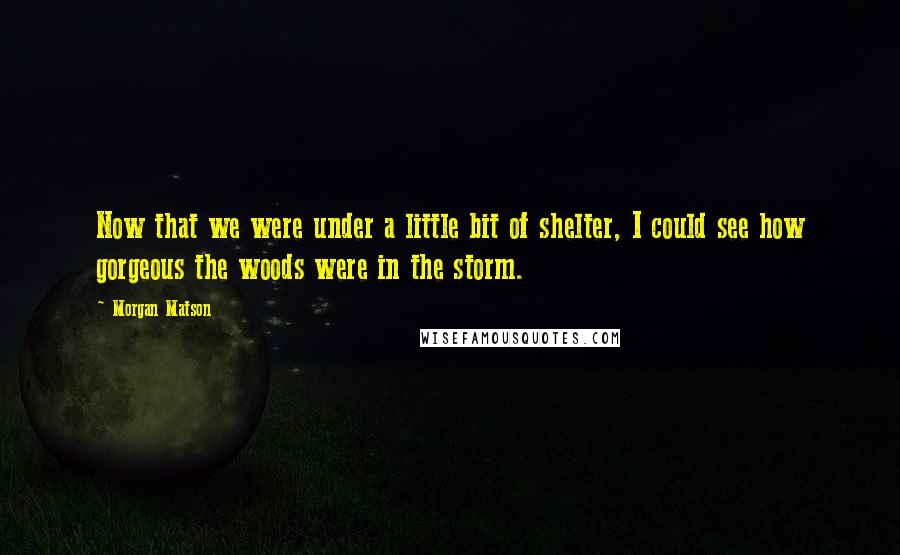 Morgan Matson Quotes: Now that we were under a little bit of shelter, I could see how gorgeous the woods were in the storm.