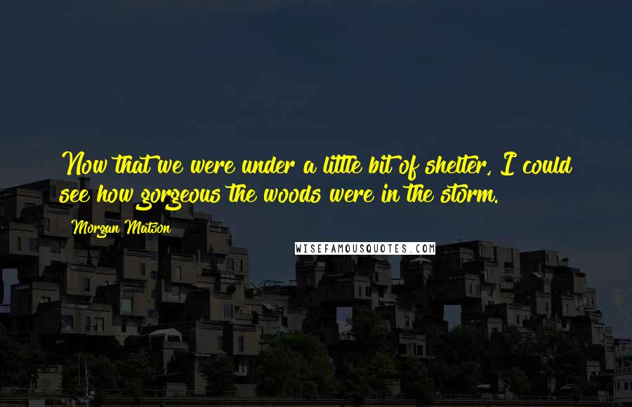 Morgan Matson Quotes: Now that we were under a little bit of shelter, I could see how gorgeous the woods were in the storm.