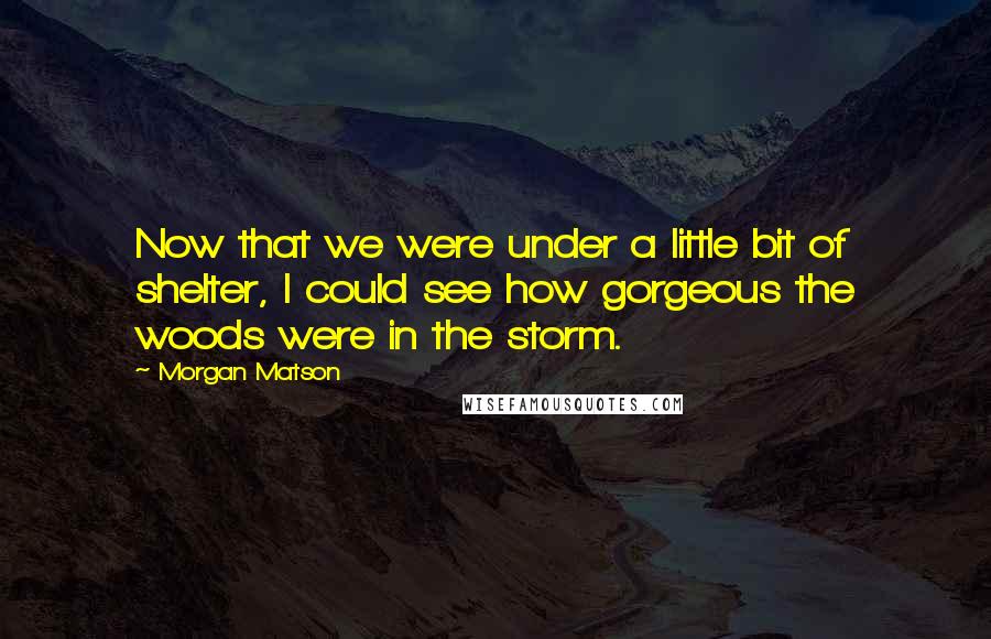 Morgan Matson Quotes: Now that we were under a little bit of shelter, I could see how gorgeous the woods were in the storm.