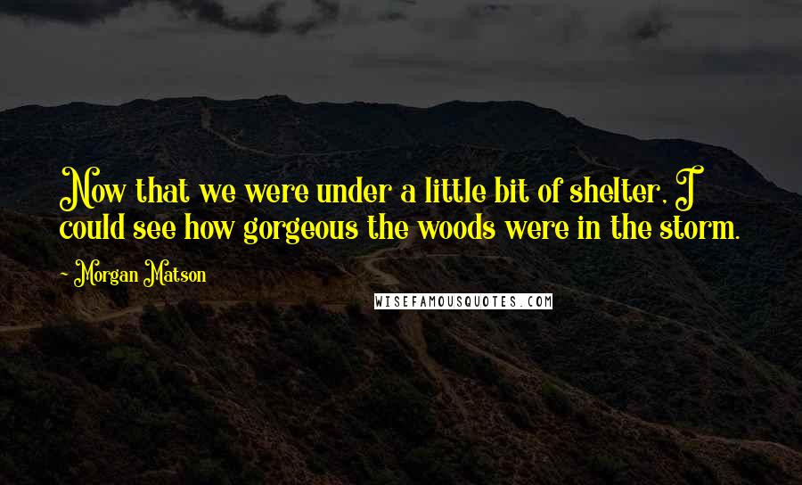 Morgan Matson Quotes: Now that we were under a little bit of shelter, I could see how gorgeous the woods were in the storm.